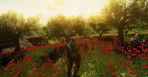 Video games and the life of summer