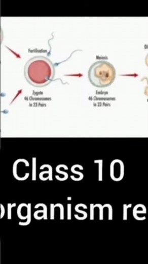 class 10 how do organism reproduce credit ncert book