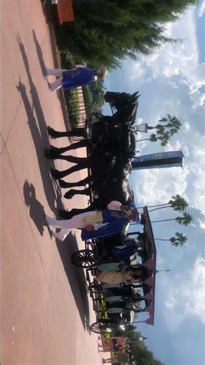 Disney Epcot, World Showcase, Princess Parade, 8/7/2020, 4:19PM.