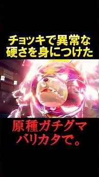 超耐久超火力の怪物ガチグマ、全てを薙ぎ倒してしまう。【ポケモンSV】