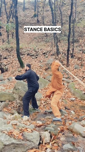 Kung Fu Balance Basics #kungfu #discipline