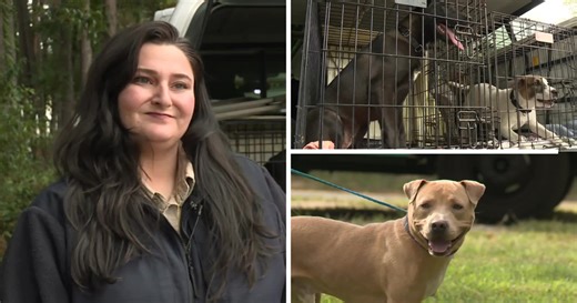 Dozens of dogs and cats from rural Virginia shelters seek adoption in Richmond