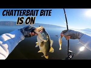 Chatterbait Bass Fishing on Clear Lake - Nonstop Action