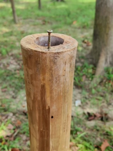 This Knot Is Used by Every American Worker 🇺🇸 ✅👍 #diy #experimnent #bamboo #shorts #satisfying