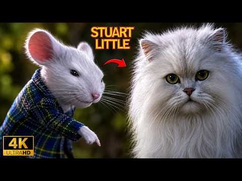 Snowbell Spots Stuart in the Woods | Stuart Little