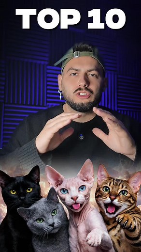 Top 10 razas de gatos #gatos #gatostiktokers #mascota #gatitos #parati | gato savannah
