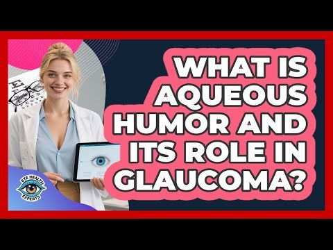 What Is Aqueous Humor And Its Role In Glaucoma? - Eye Health Experts