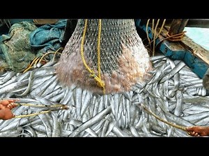 TRAWL NET FISHING VIDEOS EPISODE 8