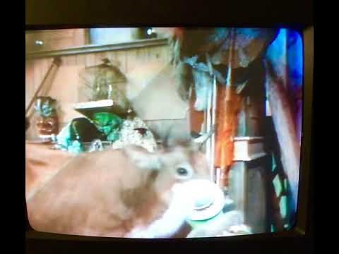 The Muppet Show Kermit and Scooter - Cow scene.