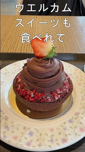 【シャトレーゼホテル】アイス食べ放題♪「シャトレーゼホテル談露館」ワインの街・甲府で、心満たすホテルステイ #グルメ #お宿 #シャトレーゼホテル #シャトレーゼ #アイス