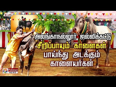 🔴LIVE : Polimer News Live | அலங்காநல்லூர் ஜல்லிக்கட்டு | Alanganallur Jallikattu 2022