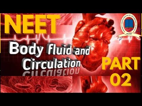 Body Fluid and Circulation PART 02 | NEET Biology 2025 | Class 11 NCERT | Human Physiology