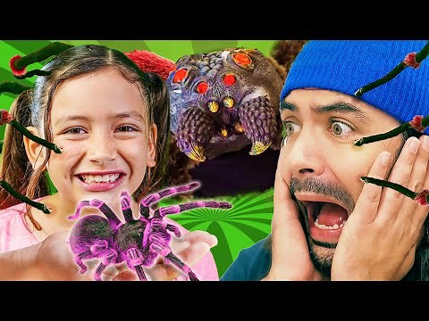 Giant Creepy Spider and Honesty