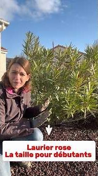 How to prune an oleander for beginners? It's easy! #plants #oleander #pruning #cut #rose