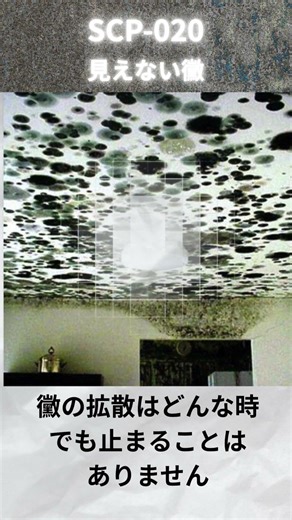 ページ20、SCP-020とは何か