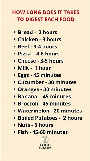 How Long Does It Take to Digest Food? | Food Digestion Time Explained #healthyeating