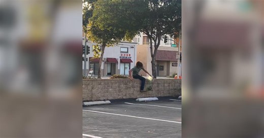 Dead parrots offer clues to a poacher lurking in L.A. suburb. 'It’s just cruelty'