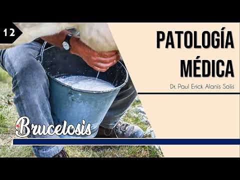 Brucelosis