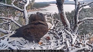 1M views · 27K reactions | Full commitment… Yesterday morning Shadow...