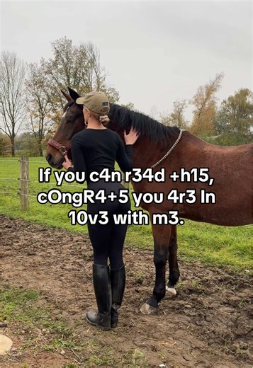 Exploring Life in Minnesota as a Horse Lover