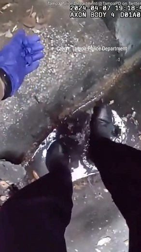 827K views · 5.3K reactions | SITTING DUCKS: Watch police officers save six adorable ducklings who got separated from their mama duck and caught in a storm drain. | Fox News | Facebook