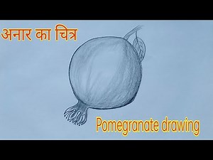 अनार का चित्र बनाना सीखें || pomegranate easy drawing #anarkachitra #pomegranatedrawing