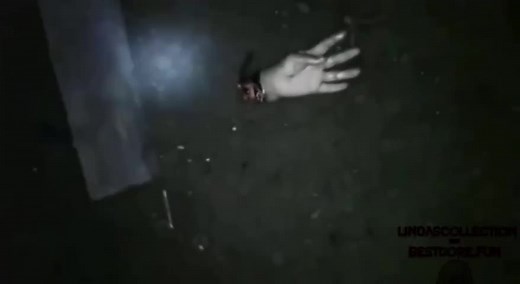 Ms. Pac-Man Face Split