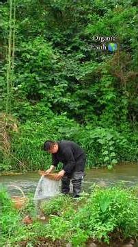 Delicious river snails recipe