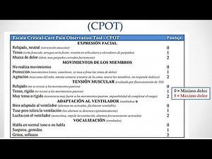🔴 CPOT SCALE