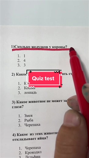 #quiz #test #american #germania🇩🇪🇷🇴 #france | quiz