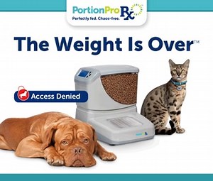Put an end to mealtime chaos! The revolutionary new PortionPro Rx™ uses RFID tags to allow access for some pets, while denying access to others. Enter for a chance to win 1 of 50 free feeders! Sign up by 3/1 at: https://portionprorx.com/get-started/ (Sponsored by Vet Innovations) | DVM360.com