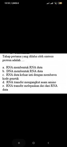 What is the first step in protein synthesis?a. RNA forms mess... | Filo
