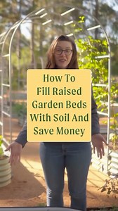 Ready to fill your raised garden bed? We’ve got you covered! Raised garden beds are the perfect solution for your garden. They offer better soil control, improved drainage, and protect your plants from weeds and pests. Plus, no more bending over to tend to your garden—making it easier on your back! Whether you’re a beginner or a seasoned gardener, raised beds help you grow healthier, happier plants. Getting ready to fill your garden beds? Save this for later! #gardenbed #gardenbeds #gardeningisf