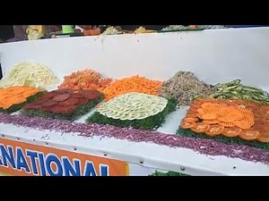 Vegetable & Salad Cutter/Vip Stylish Salad Cutter/wow vegetable cutting Easy solution just -5 minute