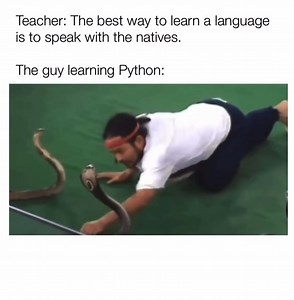 3.3K views · 12 reactions | Mastering a New Language: No Natives...