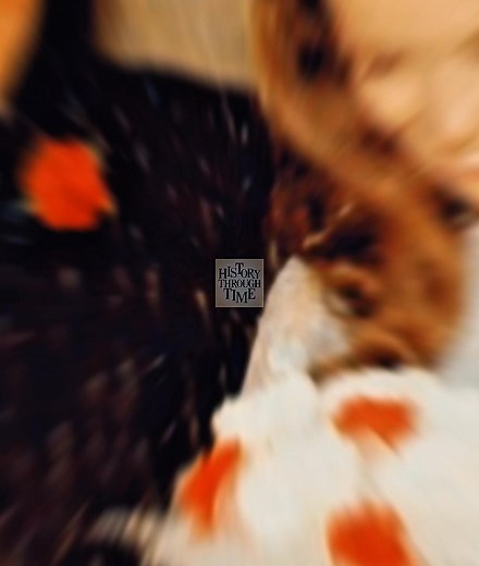 "Circa 1968, legendary musician Johnny Cash and singer June Carter Cash were photographed on their wedding day at the Franklin United Methodist Church in Kentucky." | History Through Time