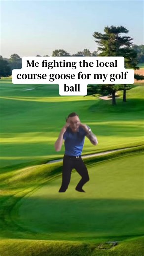 Fight on the Golf Course: Battling a Goose for My Ball