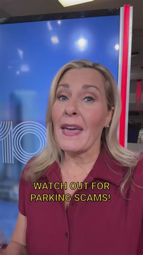 Pinellas County Sheriff's Office sounding alarm on parking scams