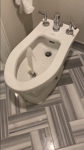 How does a bidet work?