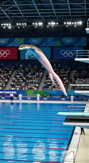 Amethystine Python Takes the Olympic Dive | A-Z Animals