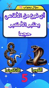 سؤال وجواب | اختبر معلوماتك