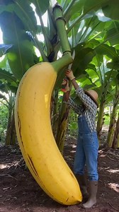 Banana BIG BACK BAKED Alaska😅 | SouthernButter By ChefT