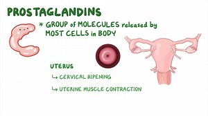 Video: Prostaglandins: Nursing pharmacology - Video Explanation! | Osmosis | Osmosis