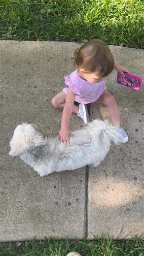 17K views · 862 reactions | Best friends ❤️ | Shannon Murray | Facebook