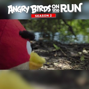 Fitness time! Watch the latest episode of Angry Birds on the Run at youtu.be/uMqS8TacrAI 💪 | Angry Birds