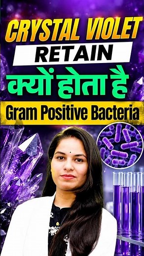 Microbiology Trick: Gram-Positive Bacteria Violet Kyu Dikhta Hai? By Manisha Ma'am