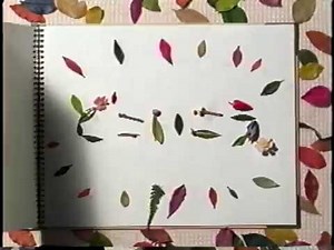 ホンダ ステップワゴン CM