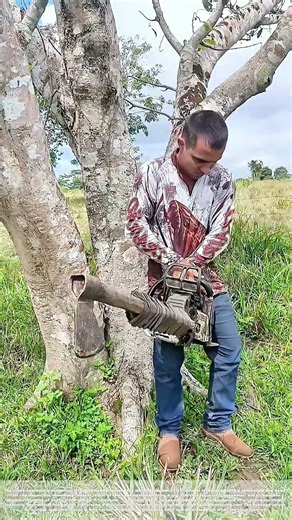 Chainsaw Massacre Meets Lumberjack: Why a Homemade Axe-Blade Bar is a Bad Idea