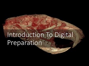 Introduction to Virtual Paleontology | Introduction to Digital Preparation Video 1