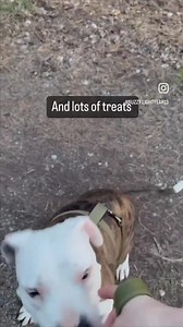 59 reactions · 29 shares | This is Buzz!  He has been looking for...